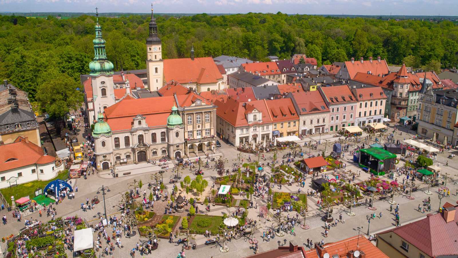 Daisy Days w Pszczynie