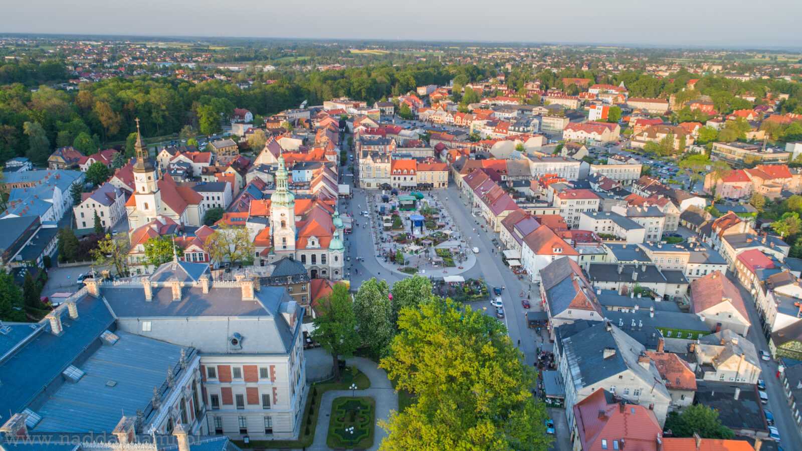 Daisy Days w Pszczynie