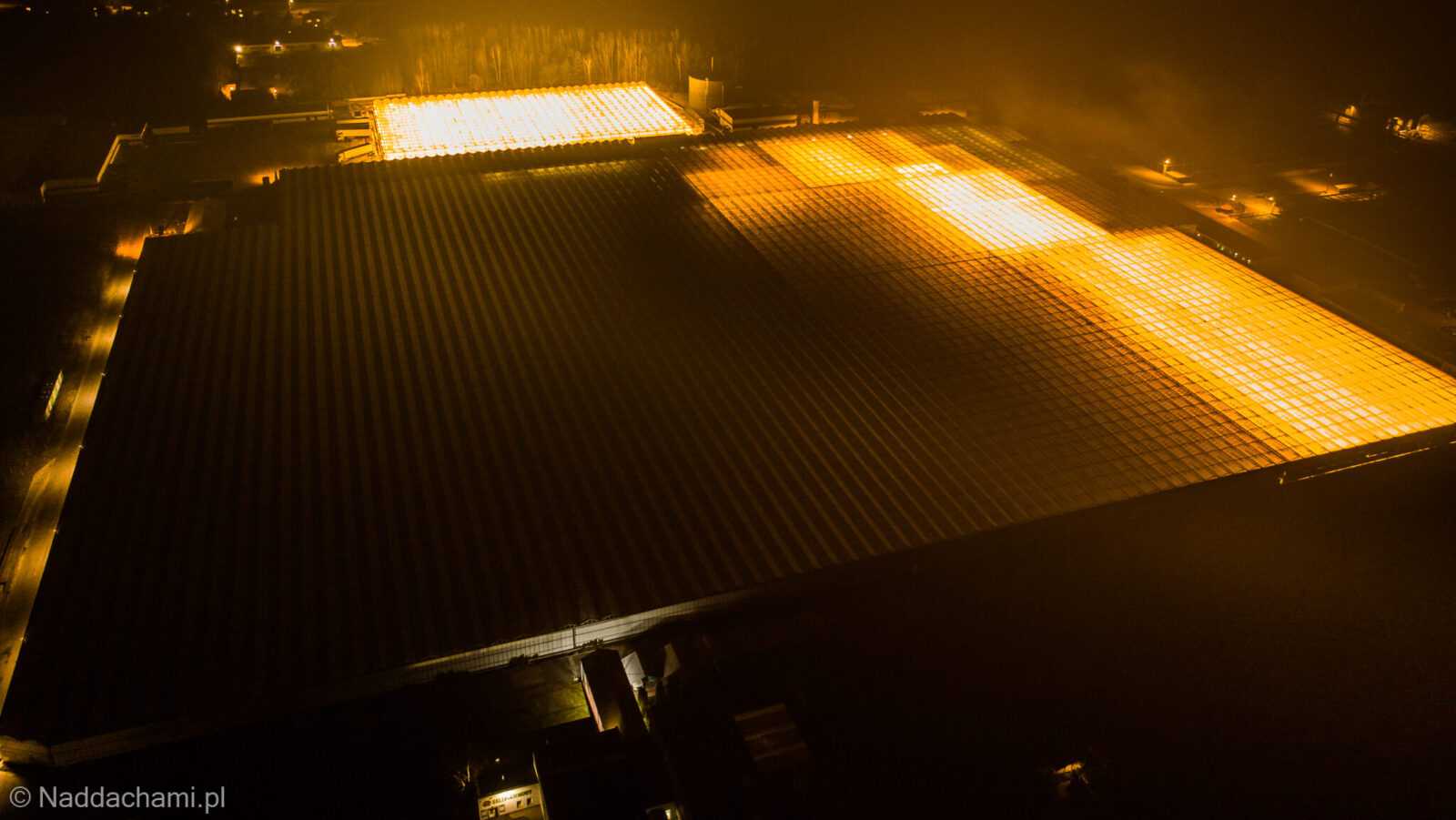 Farma pomidorów w Sarnowie